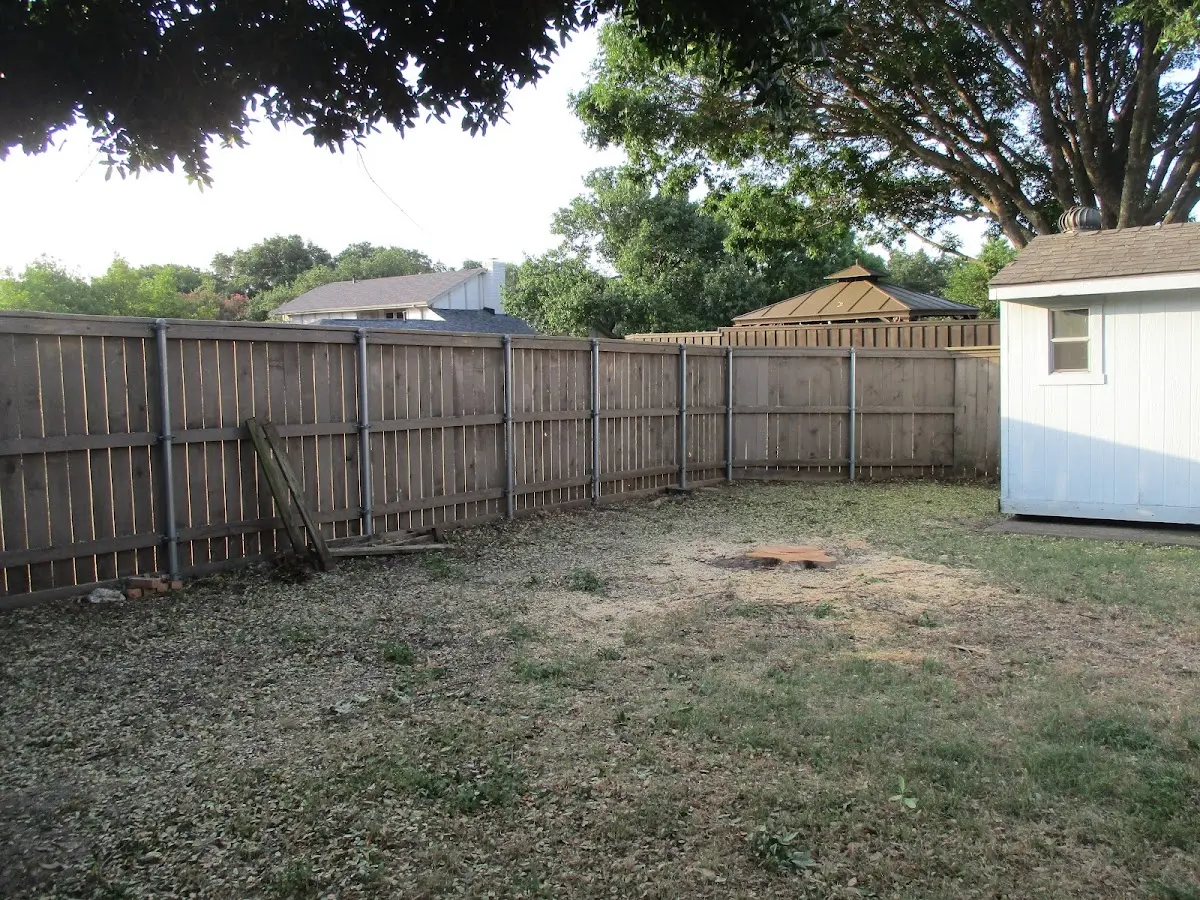 Cleared yard after professional tree removal in Brucetown